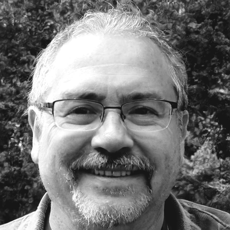 Fabiano Guarnieri, esperto SEO tecnico